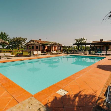Agriturismo Il Laghetto Grosseto Eksteriør billede