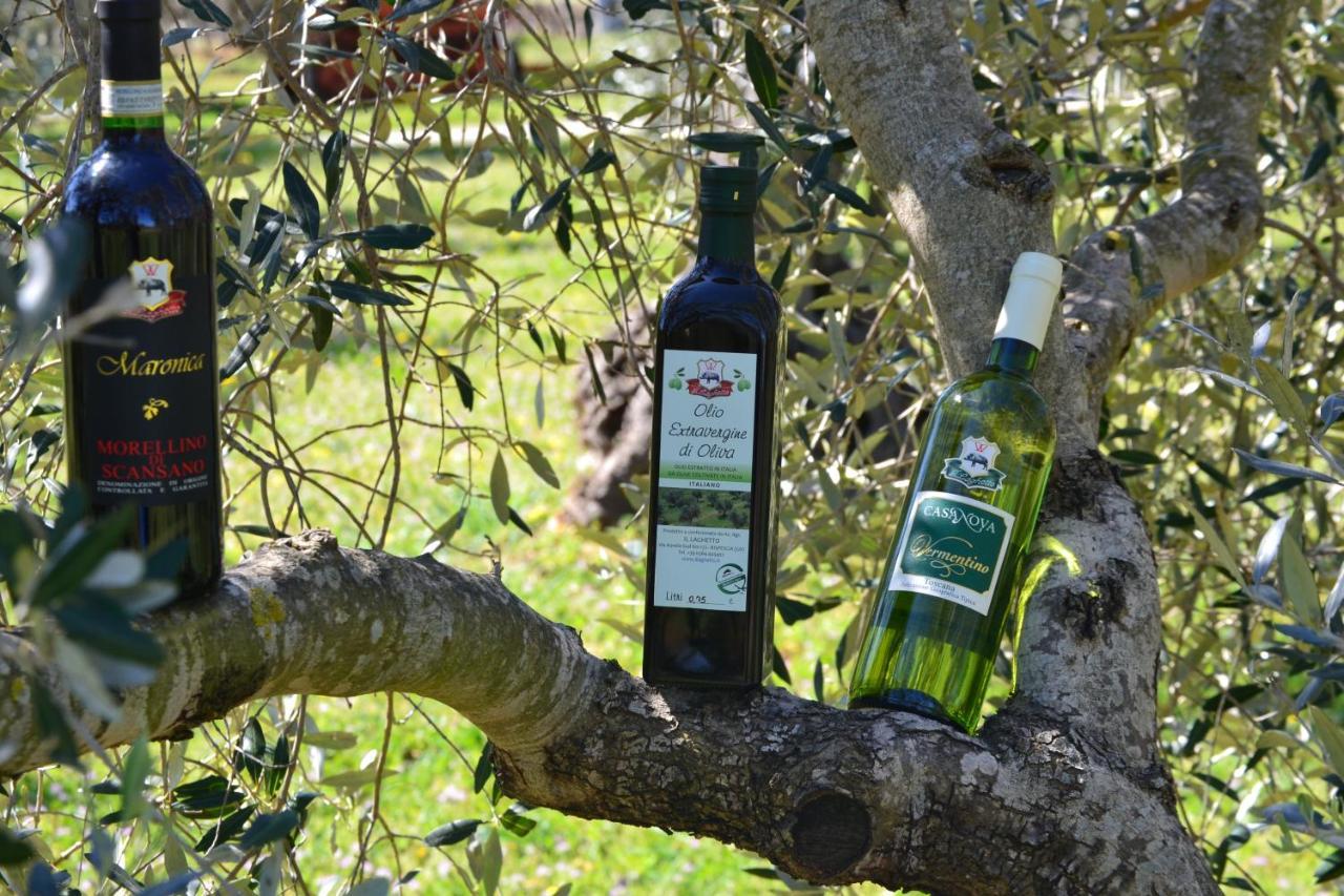 Agriturismo Il Laghetto Grosseto Eksteriør billede