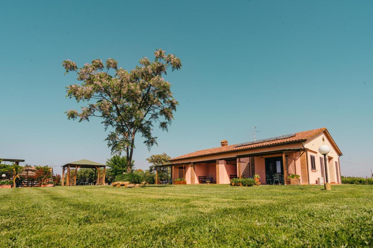Agriturismo Il Laghetto Grosseto Eksteriør billede