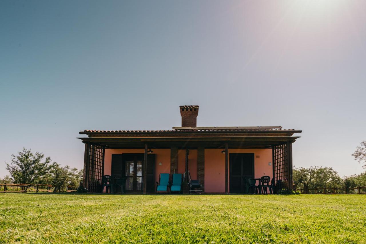 Agriturismo Il Laghetto Grosseto Eksteriør billede