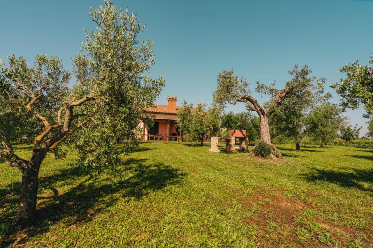 Agriturismo Il Laghetto Grosseto Eksteriør billede
